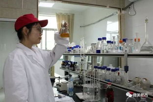 肥西縣高新技術(shù)企業(yè)認定實現(xiàn)新突破 科技中介服務(wù)助力產(chǎn)業(yè)升級